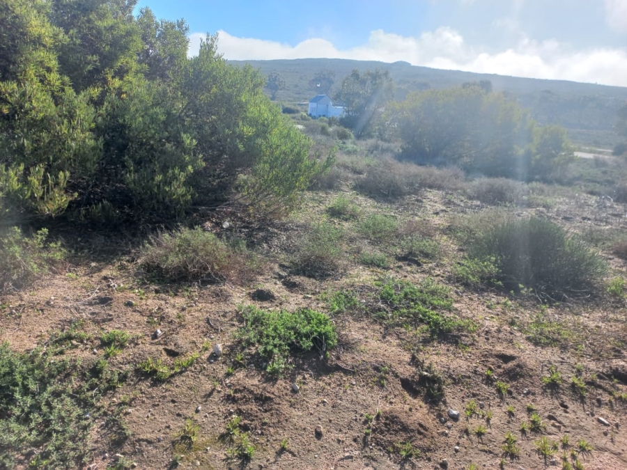 0 Bedroom Property for Sale in Steenbergs Cove Western Cape